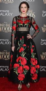 10421127_865429223490520_7685812576926867562_n