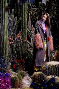 1908179_942099282490180_5107156098232306869_n