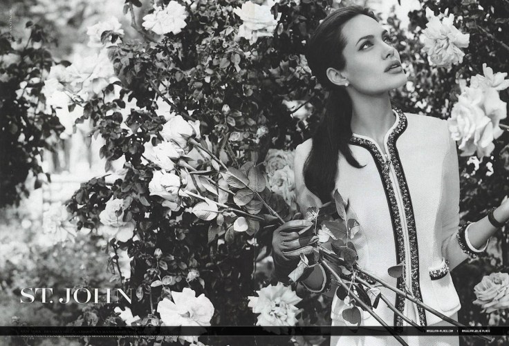 2007_Angelina_Jolie_St_John_02