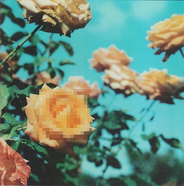 11813468_1001187576581350_7338414866732672848_n