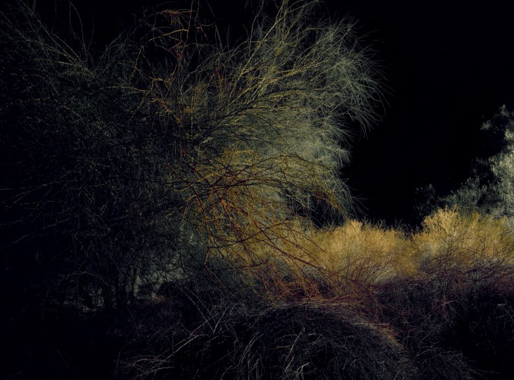 in-the-air-fabien-baron-for-interview-magazine-october-2015-25