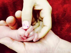 章子怡喜獲千金 -2015.12.28-