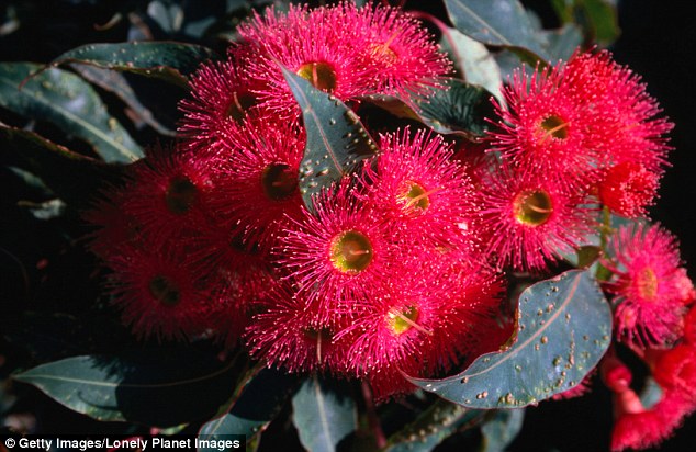 Cate Blanchett in Marc Jacobs-2