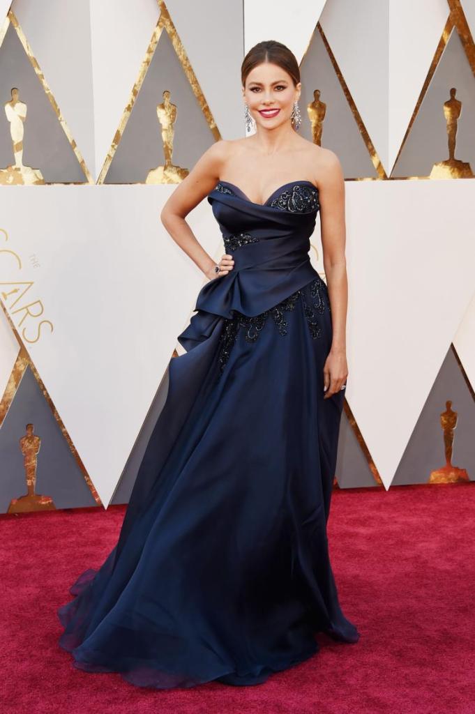 2016 Oscars Sofia Vergara in Marchesa