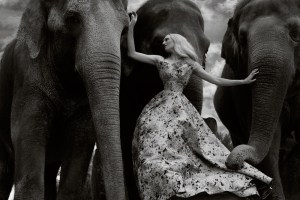 Autumn For The Elephants -2016.8.20-