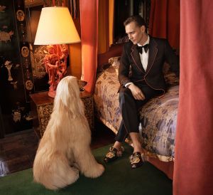 Tom Hiddleston X Gucci Menswear Cruise 2017 Campaign -2016.9.27-