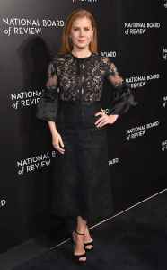 2017 National Board Of Review Gala— Amy Adams -2017.1.6-